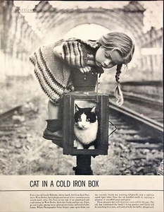 1955 Gatto in scatola di ferro freddo bambina Berlino Ovest stampa rivista d'epoca - Foto 1 di 6