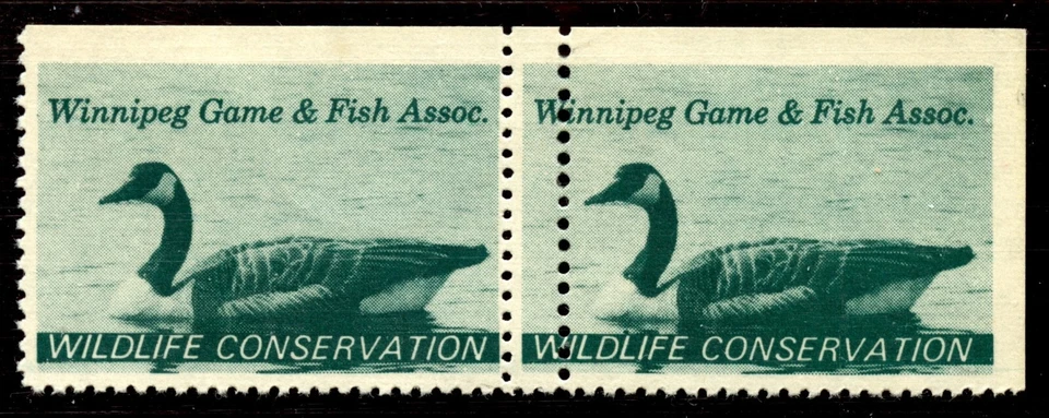 Canada 1967 Winnipeg Wildlife Duck Stamp - DOUBLE PERFORATION ERROR - Image 1 of 1