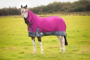 Alfombra para caballos 100 rellenos combo cuello peso medio alfombras para caballos Ras/Gry - Imagen 1 de 12