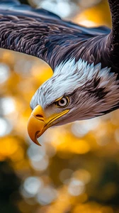 Canvas Art Eagle Bird In Brown Gold Autumn Landscape Wall Picture Poster Print - Picture 1 of 22