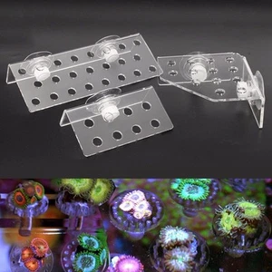 Acryl Korallen Halterung Halter Kit für lebende Korallen Anbau einfache Platzie - Picture 1 of 22
