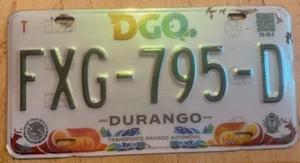 2000er DURANGO MEXICO MEXICAN MEX AUTO NUMMERNSCHILD " FXG 795 D " - Bild 1 von 1