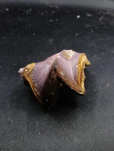Purple lopha cristagalli. 88mm sea shell Full bat wing oyster seashell #12001 - Foto 1 di 5