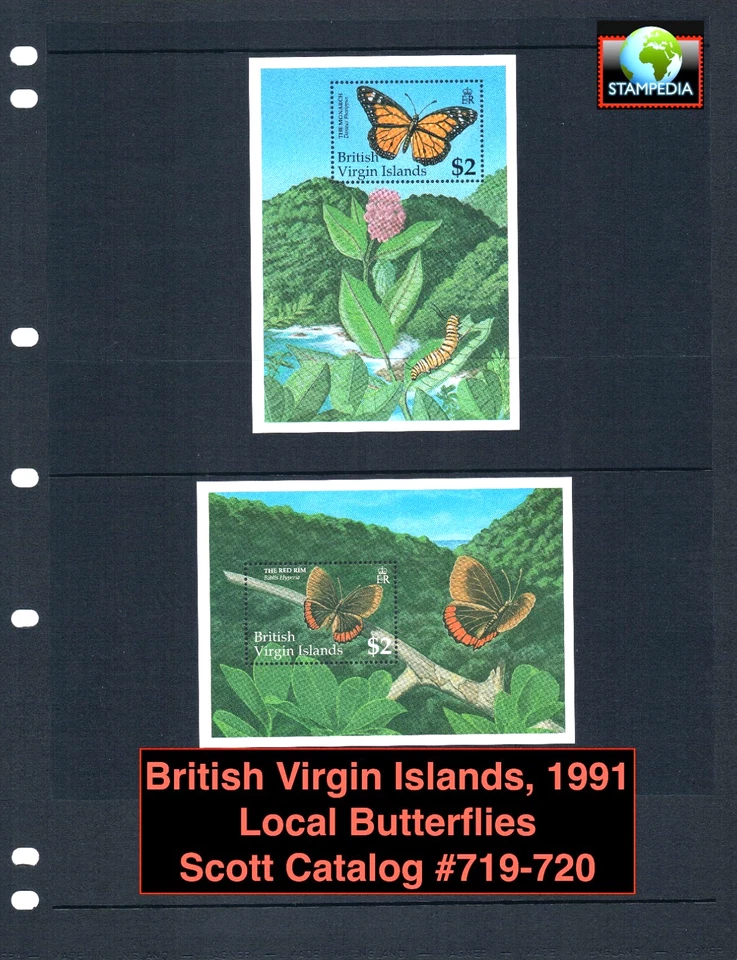 17.50 美元 Scott Value - 1991 年英属维尔京群岛 VIRGIN ISL 蝴蝶 2 秒/秒 加勒比 CV 全新 NH UMM — 第 1/4 张图片