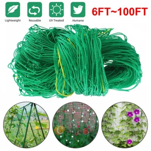 Plant Trellis Netting for Climbing Plants Outdoor Heavy-Duty Growing Net 6-100FT - Picture 1 of 32