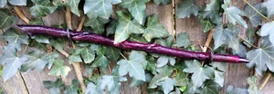 Zauberstab - Naturrebe gedrehter Ahorn - Hexe / Zauberer - Heidnisch - Larping - Ren Faire - Bild 1 von 16