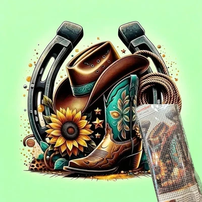 Zapato de Caballo Diamante Kit de Pintura Floral Botas de Vaquero Diamante Arte Lienzo Regalo Nuevo Foto 1 de 4