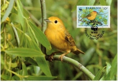 WWF Bird Yellow Warbler Maxi Postcard FDC Barbados 1991 Free Shipping - Image 1 of 2