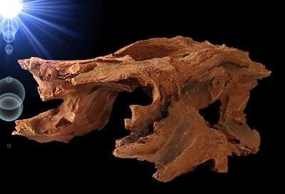 TOP Aquarium Terrarium Deko 🍀 WURZEL HÖHLE 🍀 Ast Barsche Welse Zubehör - Bild 1 von 4