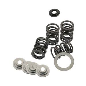 S&S Cycle Motorcycle Motorbike Valve Spring Kit Standard To .480" Valve Lift - Picture 1 of 1