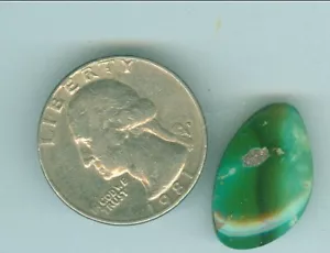 10 Carat Natural Green Tree Turquoise Cab Unbacked Natural Turquoise 14mm x 22mm - Picture 1 of 2