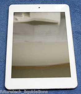 DEFECTIVE - SOFTWINEREVB 8" 4GB TABLET - Bild 1 von 3