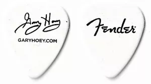 Gary Hoey Tour Guitar Pick - Picture 1 of 1