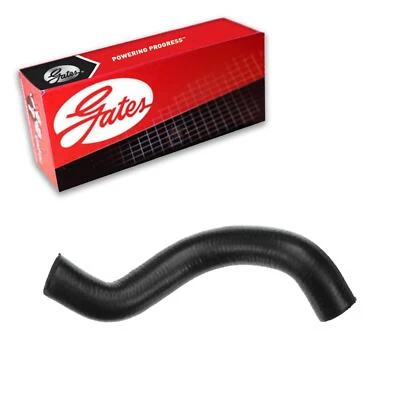 Manguera de refrigerante de radiador Gates inferior para Buick Rendezvous 2002-2005 3,4 L V6 GAS Foto 1 de 3