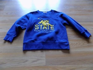 Size XS Disney Store The Lion King Simba Cub Navy Blue Sweatshirt Sweat Shirt  - Picture 1 of 6