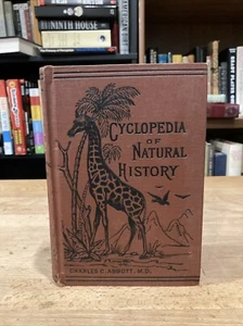 1887 ILLUSTRATED HARDCOVER Charles Abbott CYCLOPEDIA OF NATURAL HISTORY - Picture 1 of 11