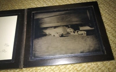 Fotografía Ambrotipo FIRMADA VIK MUNIZ 'Bajo la Cama' de 'Días de Clayton' Enmarcada Foto 1 de 4