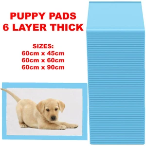 HEAVY DUTY LARGE PUPPY PET TRAINING WEE PEE TOILET PADS PAD FLOOR MATS DOG CAT - Picture 1 of 32