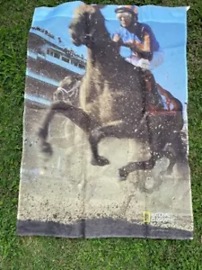 National Geographic 2008 Casa de carreras de caballos Jardín Bandera Nylon Caballo Jockey Bandera - Imagen 1 de 4