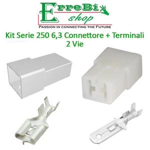 KIT CONNETTORE SERIE 250 6,3 FASTON MASCHIO FEMMINA 2 VIE + TERMINALE AUTO MOTO - Picture 1 of 1