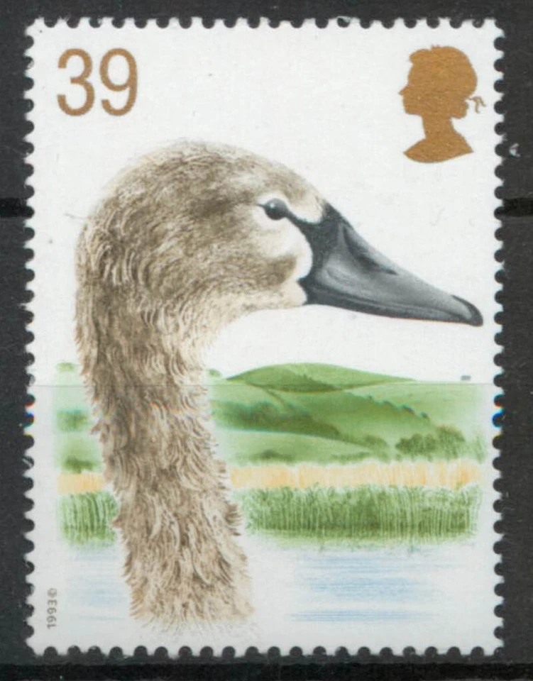 39p Mute Swan Cygnus olor bird GB 1993 MNH mint stamp D299 *COMBINED POSTAGE* - Image 1 of 1