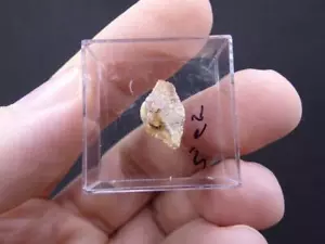 FD MINERALES: Exclusiva THEMENITA (Y) - Ankisabe - Madagascar - er 420 - Imagen 1 de 3