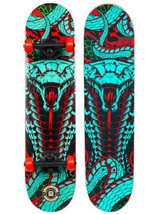 Double Kicktail Beginner Complete Skateboard with Maple Deck - Picture 1 of 6