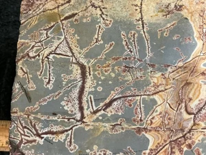 Z~ Sonoran Dendritic Rhyolite Faced Rough 7 Lbs - Picture 1 of 13