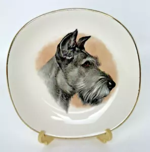 Weatherby Hanley Falconware England Square Wire Haired Terrier Dog Plate Dish - Picture 1 of 8