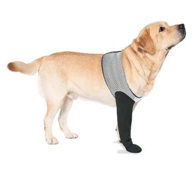 Calcetines para perros para evitar lamer patas, botas curativas y protectores de patas antideslizantes Foto 1 de 4