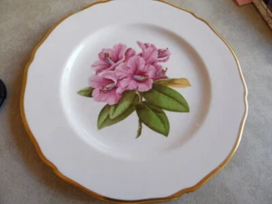 Spode Rhododendron Bone China Batemani Y6638 - Picture 1 of 4