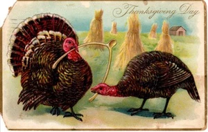Postal Vintage 1908 Post Hollidaysburg Pa Acción de Gracias Pavo Espoleta Chip - Imagen 1 de 2
