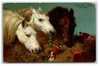 Postcard A Scanty Meal Tate Gallery art print Horses posted 1908