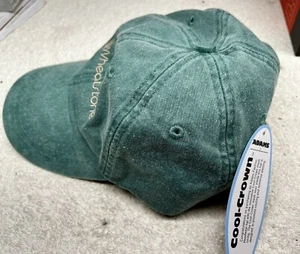 Wheatstone Corporation Audioarts green hat cap new with tags NWT - Picture 1 of 4