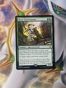 1 x Keen-Eyed Curator - Bloomburrow - Casi nuevo - Como nuevo - Magic The Gathering - Imagen 1 de 2