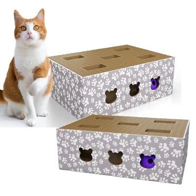 PFOTENGENUSS 2x Katzenspielzeug Kratzbrett mit Bällen interaktive Kratzunterlage Kratzpappe