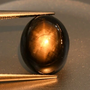 6.83ct 100% Natural Unheated Golden Black Star Sapphire Loose Gemstone, - Picture 1 of 2