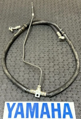 06-21 OEM YAMAHA RAPTOR 700 LÍNEAS DE FRENO DELANTERAS MANGUERA CILINDRO MAESTRO 🔥ENVÍO RÁPIDO🔥 Foto 1 de 4