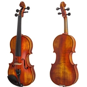 Paititi 4/4 Größe PTTVN 10AT Mittelstufe Violine mit Koffer, Bogen und mehr - Bild 1 von 7