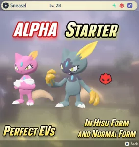 SNEASEL STARTER ALPHA SHINY HISUIAN 🌟 Pokemon Legends: Arceus | EV Trained - Picture 1 of 6