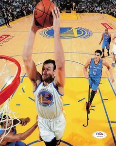 Andrew Bogut signed 8x10 photo PSA/DNA Golden State Warriors Autographed - Picture 1 of 1