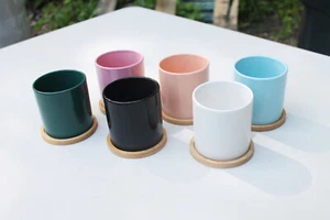 Set Of 6 Mini Cactus/ Succulent planters/ Flowers Pots Drainage/ Bamboo Sauser - Picture 1 of 9