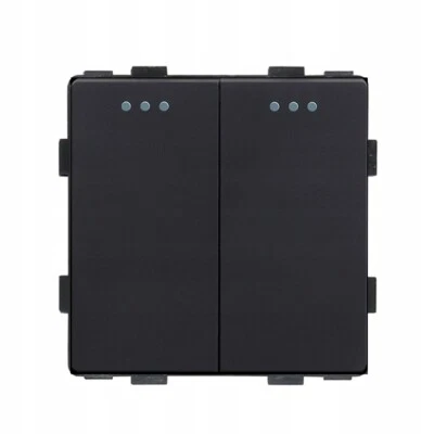 Lichtschalter 2P mechanischer Einsatz schwarz RTX SH - Bild 1 von 4