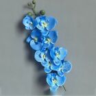 Simulation Butterfly Orchid Real Touch Plants 3D Phalaenopsis Artificial Flower