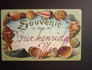 Breckenridge, Michigan Shell Border Postcard (1900s) Souvenir From... - Picture 1 of 2