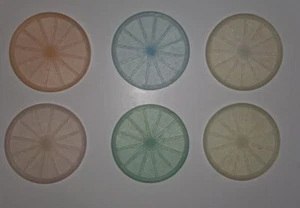 Tupper Coasters Set of 6 from 1954 Citrus Fruit Slices - Picture 1 of 3