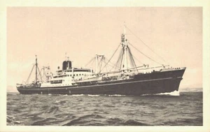 C.P.A / BATEAUX DIVERS / LE MEINAM - Picture 1 of 2