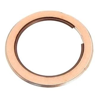 For Isuzu Rodeo 1996-2004 Nippon Reinz Engine Camshaft Guide O-Ring Foto 1 de 1