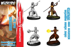 D&D Nolzur's Marvelous Miniatures HALF-ELF FEMALE MONK by WIZKIDS - Bild 1 von 1
