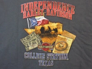 Harley Davidson Graphic T Shirt Youth L Grey Short Sleeve College Station Texas - Picture 1 of 14